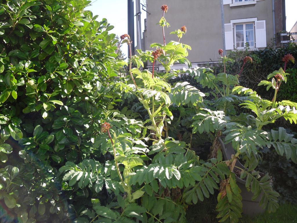 Appartement La Loob Gites De Daumesnil Etage Morlaix Rum bild